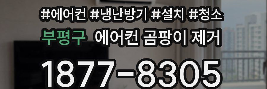 부평구 에어컨 곰팡이 제거