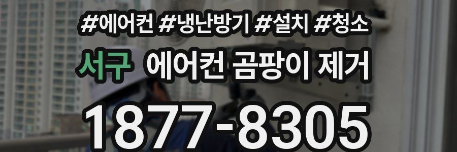 서구 에어컨 곰팡이 제거