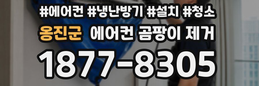 옹진군 에어컨 곰팡이 제거