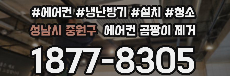 성남시 중원구 에어컨 곰팡이 제거
