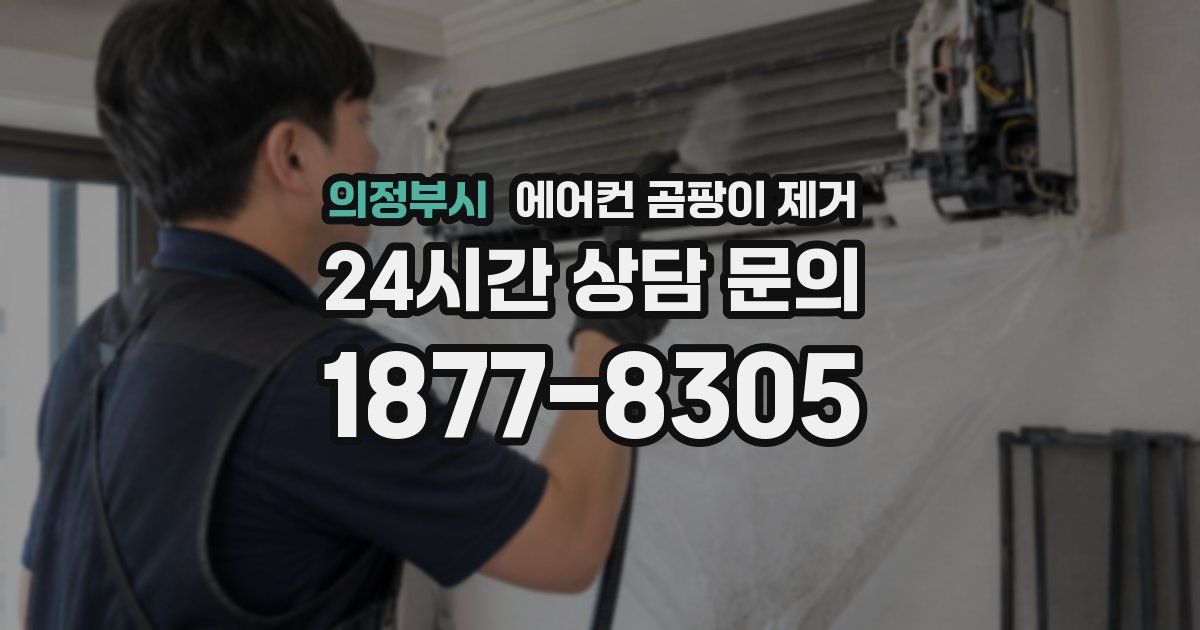 의정부시 에어컨 곰팡이 제거