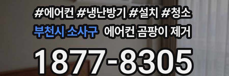 부천시 소사구 에어컨 곰팡이 제거