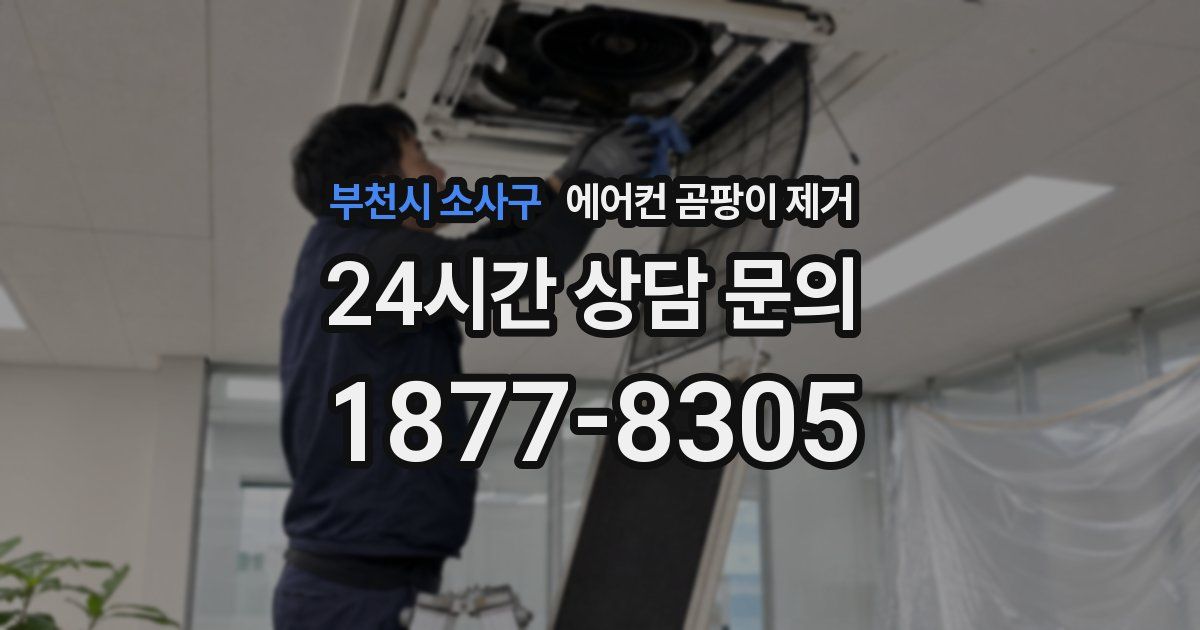 부천시 소사구 에어컨 곰팡이 제거