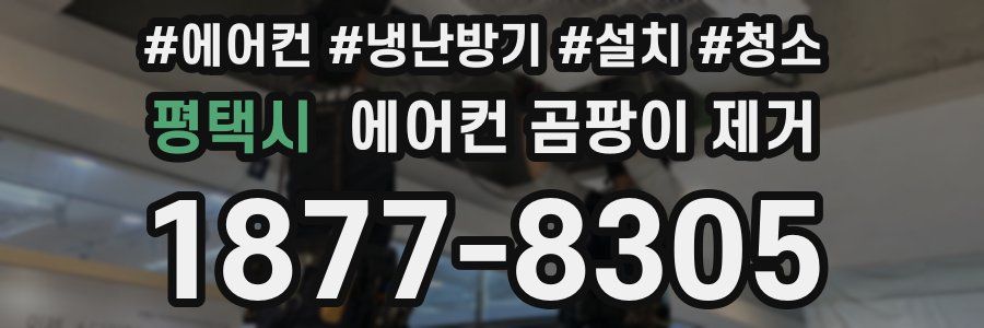 평택시 에어컨 곰팡이 제거