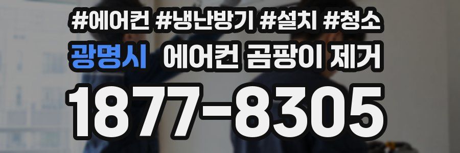 광명시 에어컨 곰팡이 제거