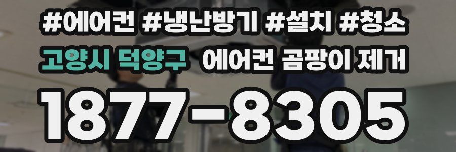 고양시 덕양구 에어컨 곰팡이 제거