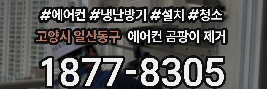 고양시 일산동구 에어컨 곰팡이 제거