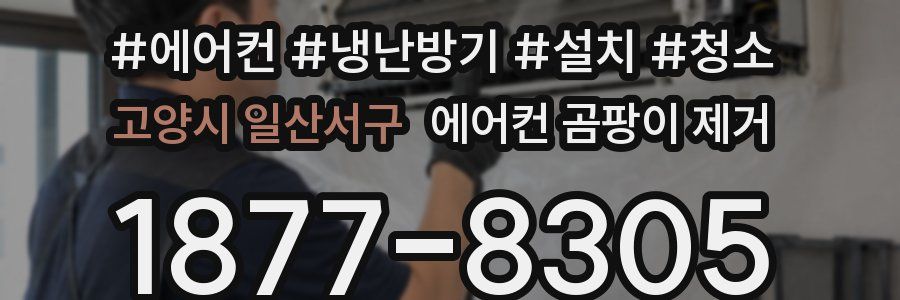 고양시 일산서구 에어컨 곰팡이 제거