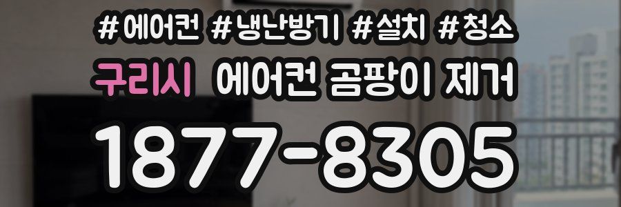 구리시 에어컨 곰팡이 제거