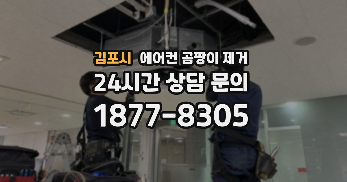 김포시 에어컨 곰팡이 제거