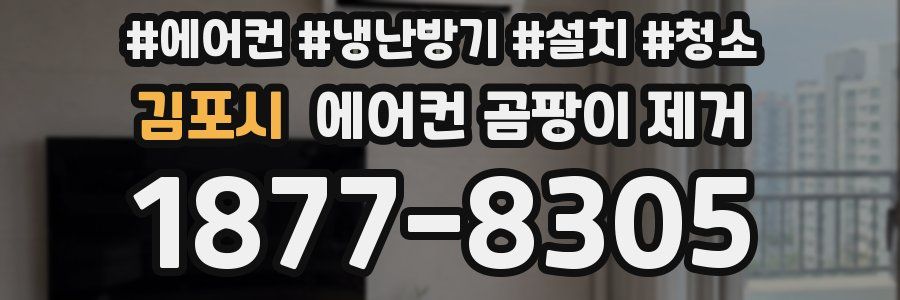 김포시 에어컨 곰팡이 제거