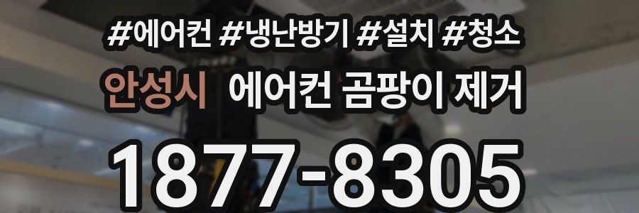 안성시 에어컨 곰팡이 제거