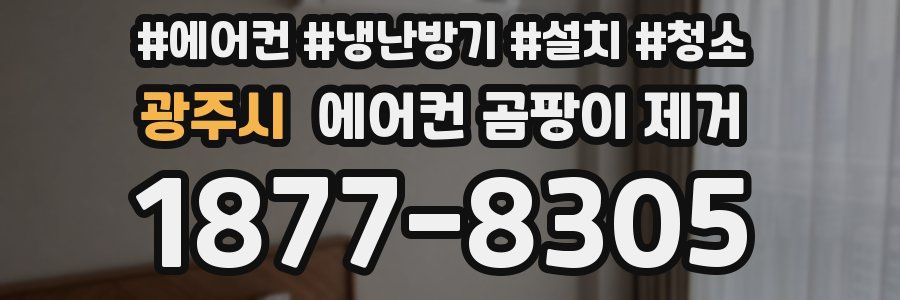 광주시 에어컨 곰팡이 제거