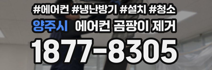 양주시 에어컨 곰팡이 제거