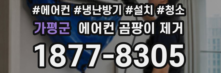 가평군 에어컨 곰팡이 제거