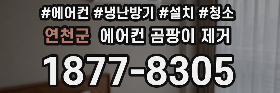 연천군 에어컨 곰팡이 제거