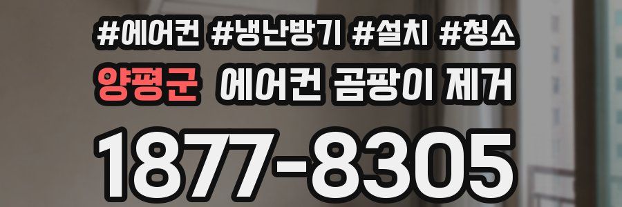 양평군 에어컨 곰팡이 제거