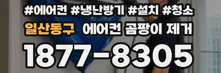 일산동구 에어컨 곰팡이 제거