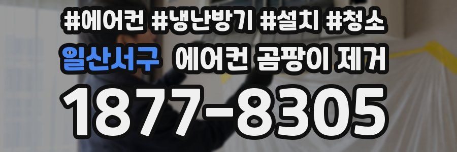 일산서구 에어컨 곰팡이 제거