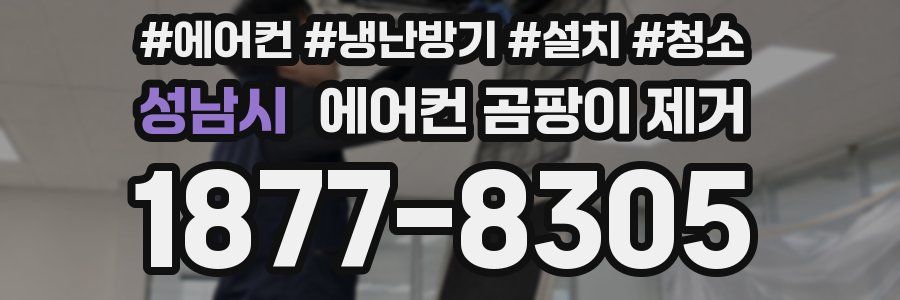 성남시 에어컨 곰팡이 제거