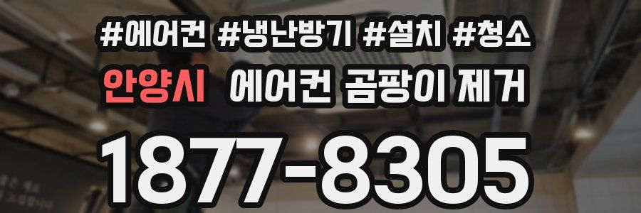 안양시 에어컨 곰팡이 제거