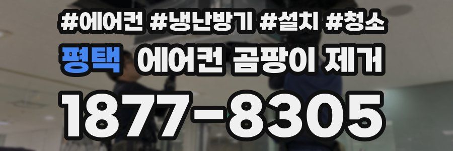평택 에어컨 곰팡이 제거