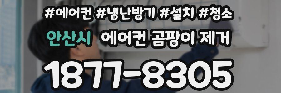 안산시 에어컨 곰팡이 제거