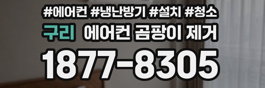 구리 에어컨 곰팡이 제거