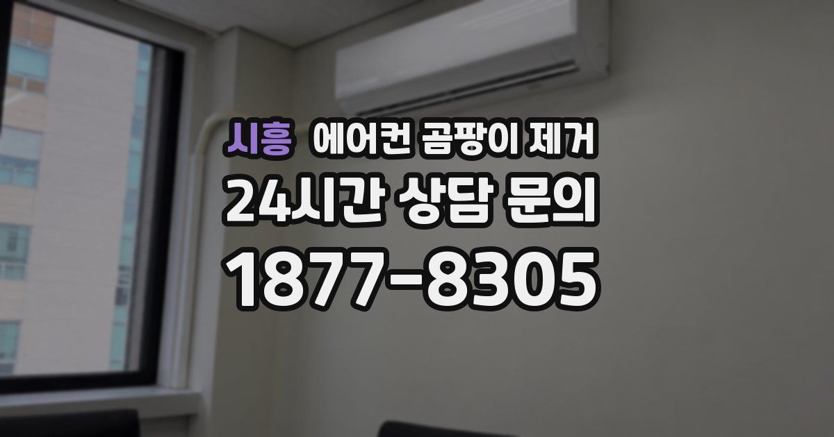 시흥 에어컨 곰팡이 제거