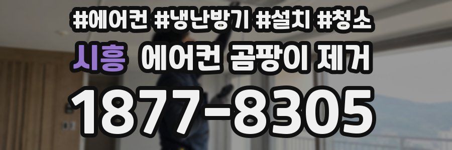 시흥 에어컨 곰팡이 제거