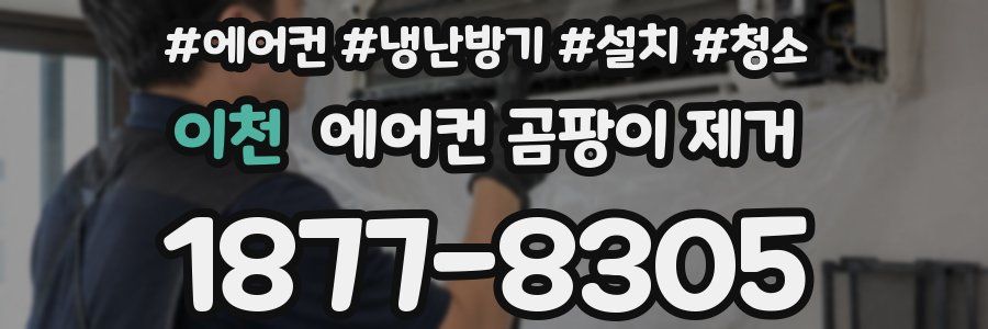 이천 에어컨 곰팡이 제거