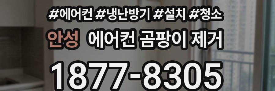 안성 에어컨 곰팡이 제거