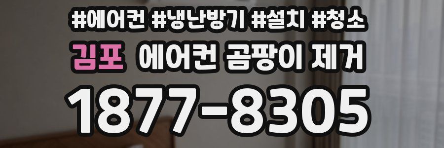 김포 에어컨 곰팡이 제거