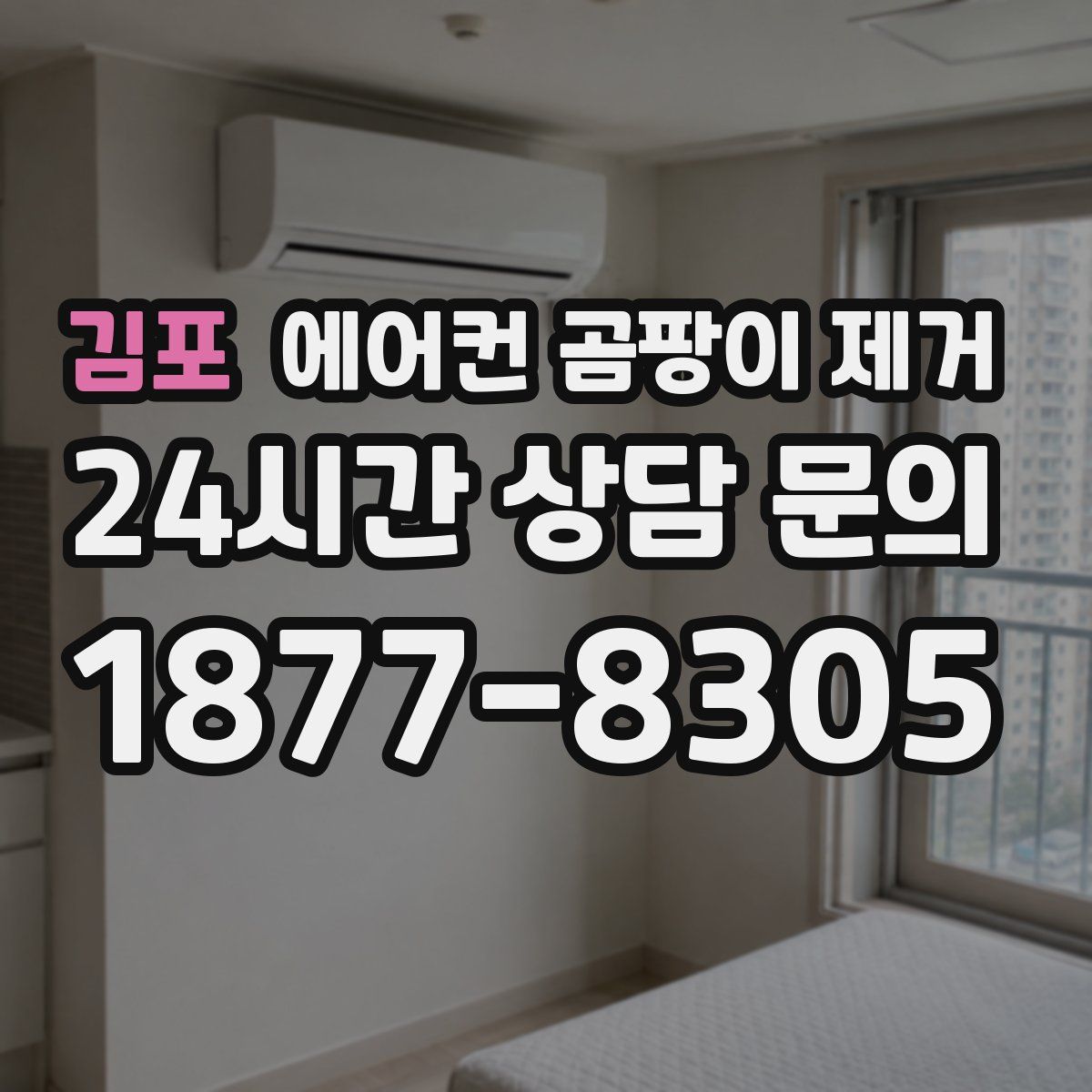 김포 에어컨 곰팡이 제거