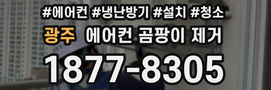 광주 에어컨 곰팡이 제거