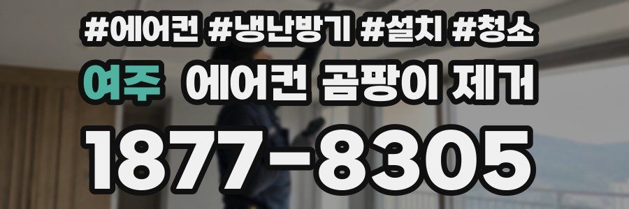 여주 에어컨 곰팡이 제거