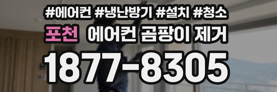 포천 에어컨 곰팡이 제거