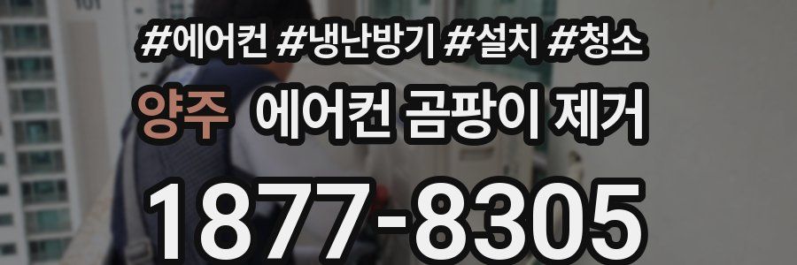 양주 에어컨 곰팡이 제거