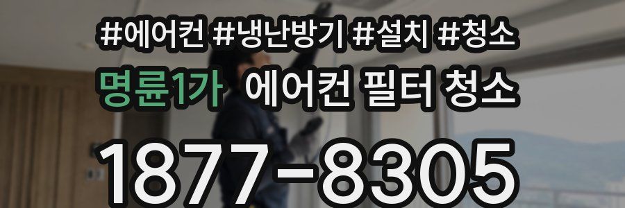 명륜1가 에어컨 필터 청소