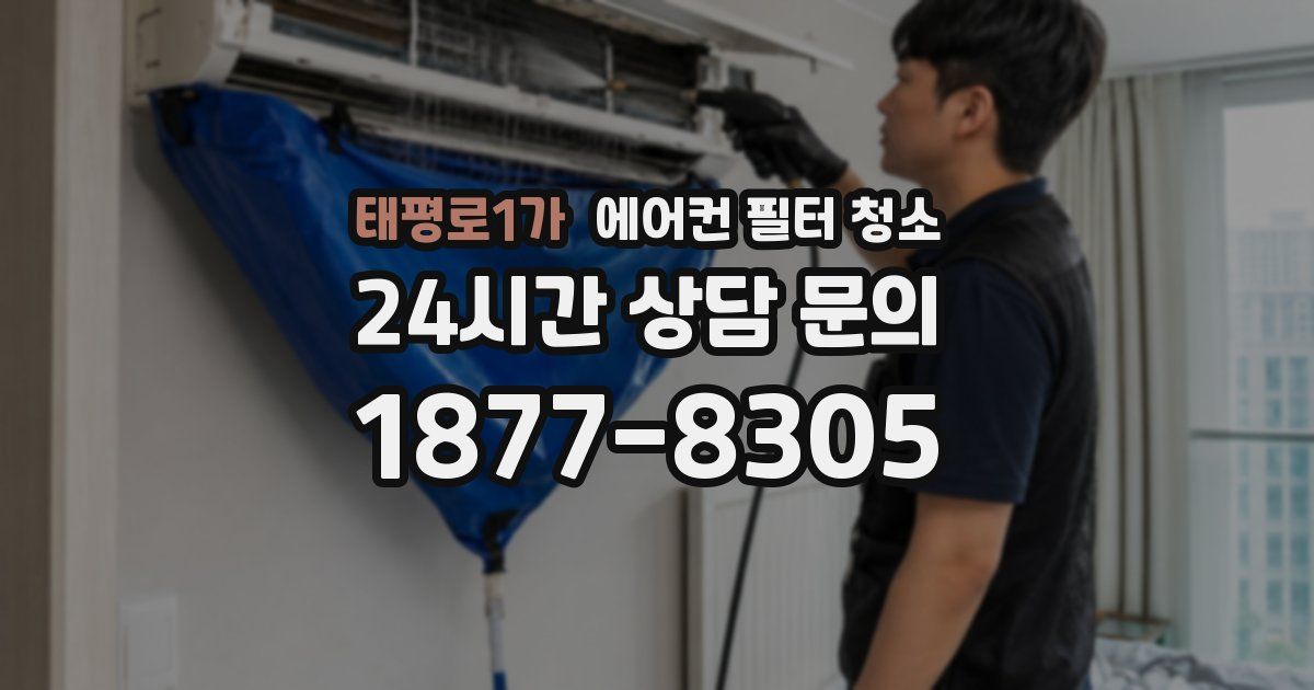 태평로1가 에어컨 필터 청소