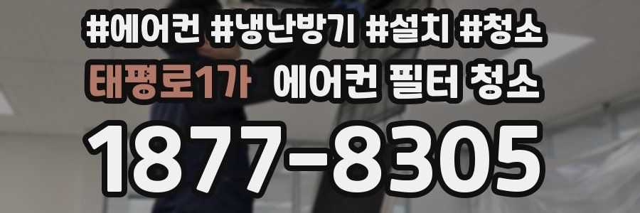 태평로1가 에어컨 필터 청소