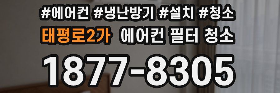 태평로2가 에어컨 필터 청소