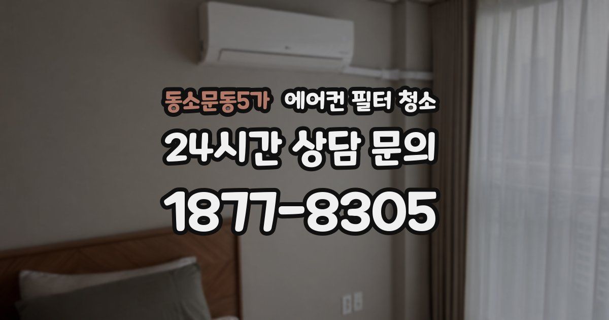 동소문동5가 에어컨 필터 청소