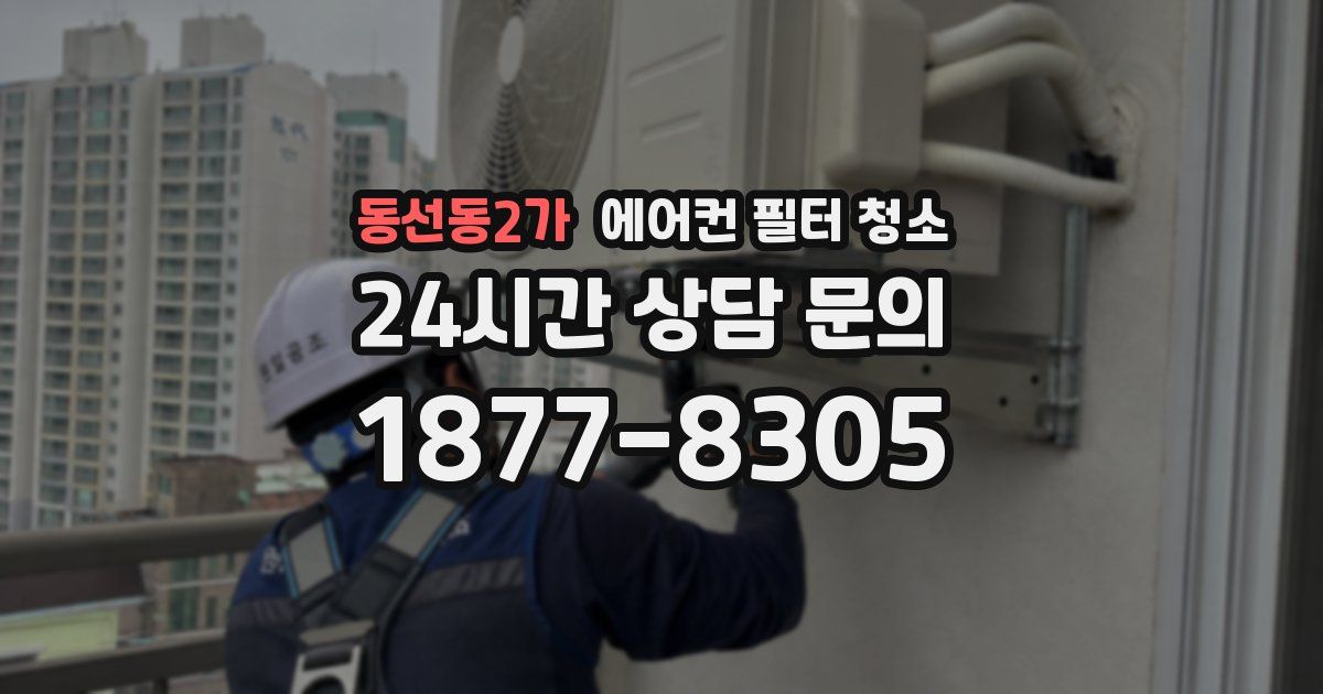 동선동2가 에어컨 필터 청소