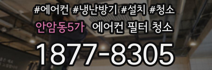 안암동5가 에어컨 필터 청소