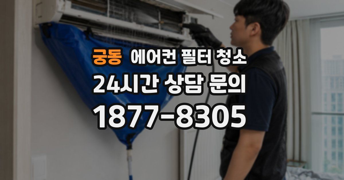 궁동 에어컨 필터 청소