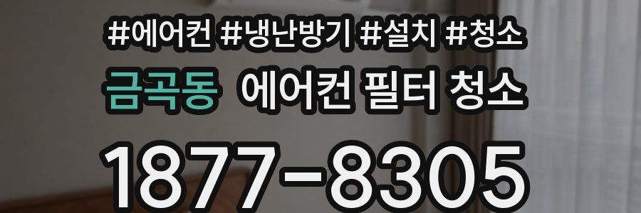 금곡동 에어컨 필터 청소
