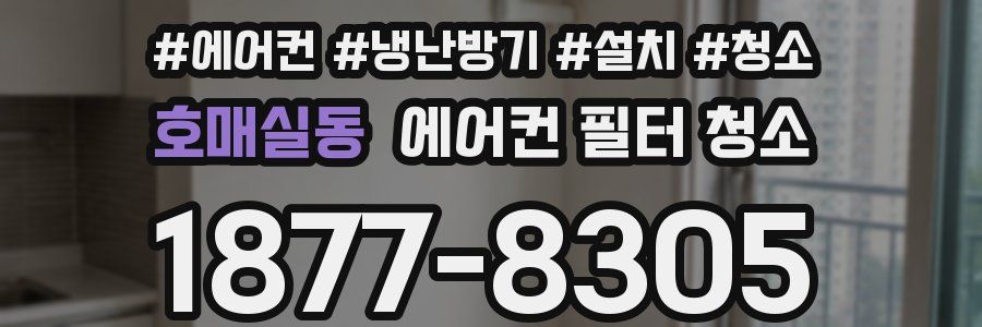 호매실동 에어컨 필터 청소