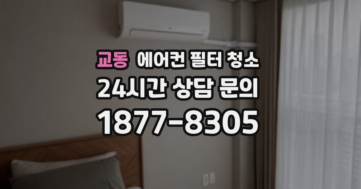 교동 에어컨 필터 청소