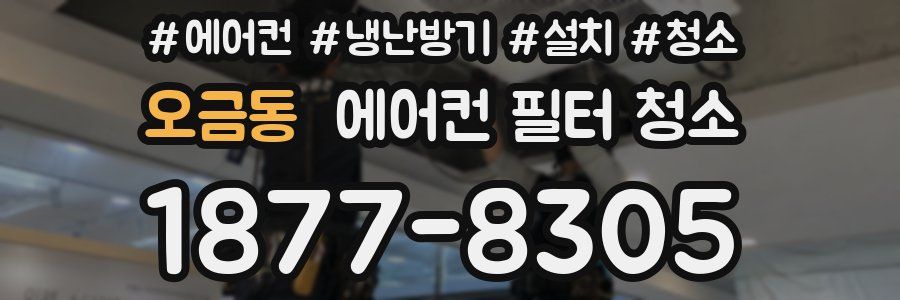 오금동 에어컨 필터 청소